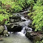 Secluded Home With Mini Waterfall And A Creek In Hot Springs