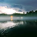 Lakefront Oasis