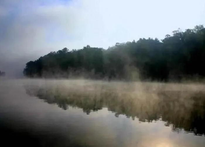 #10-Amazing Three Bedroom Lake House-Pet Friendly