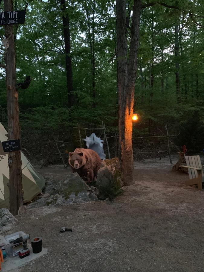 Fox Pass Cabins 3* Hot Springs