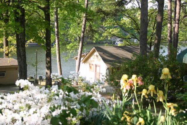 Country house Edgewater #1