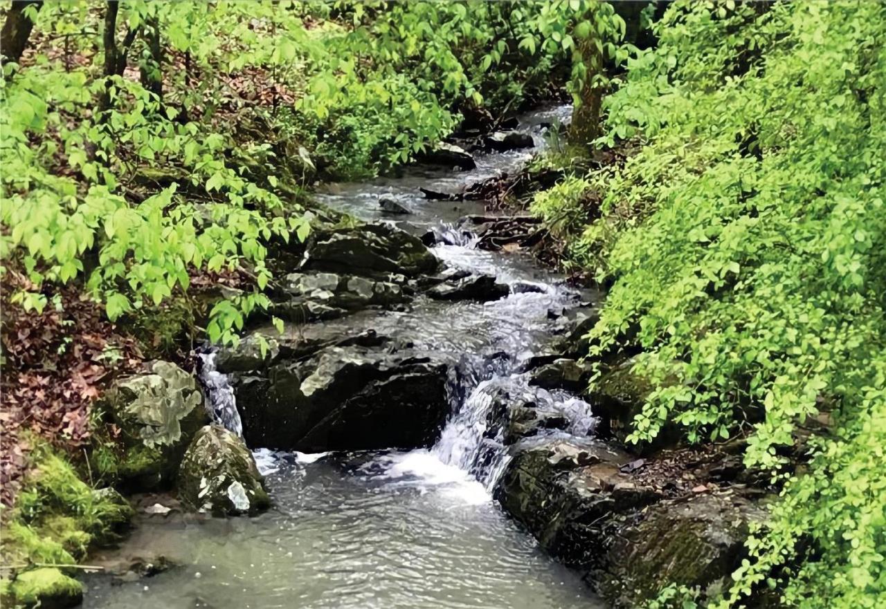 Secluded With Mini Waterfall And A Creek In * Hot Springs