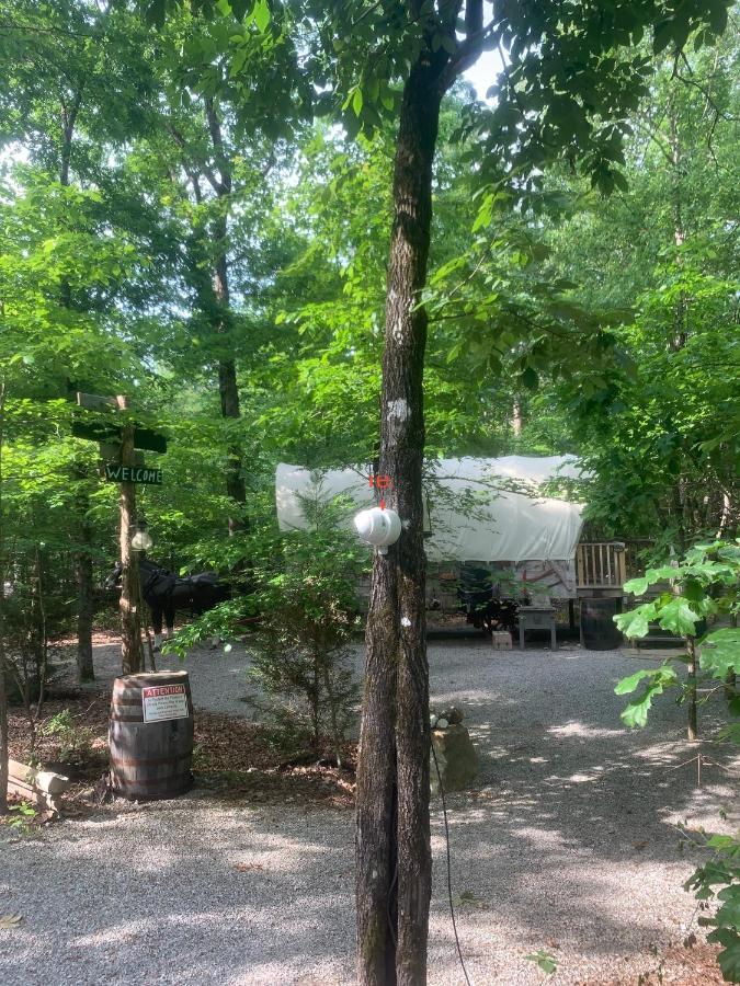 Fox Pass Cabins