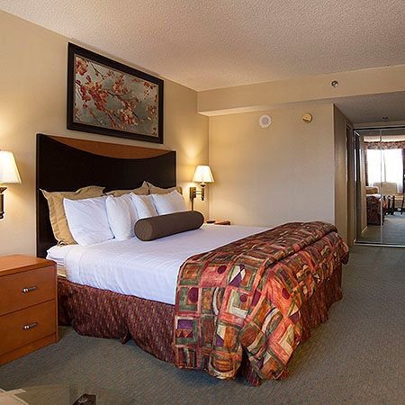 The Hotel