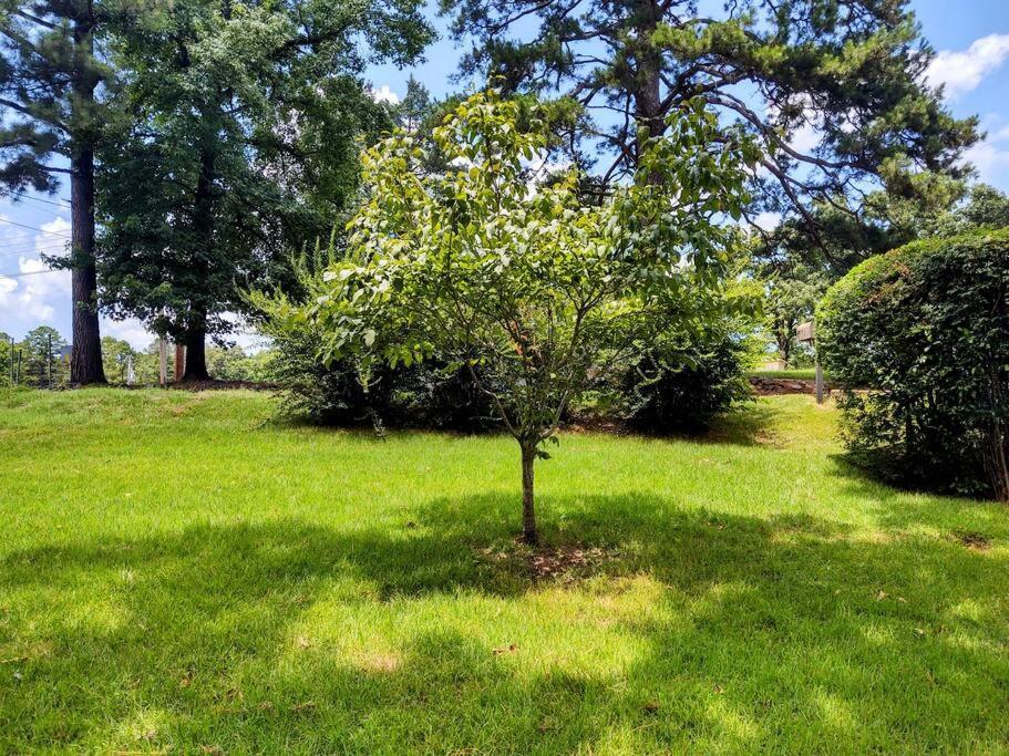 #08 - One Bedroom Lakeview Cottage-pet Friendly *