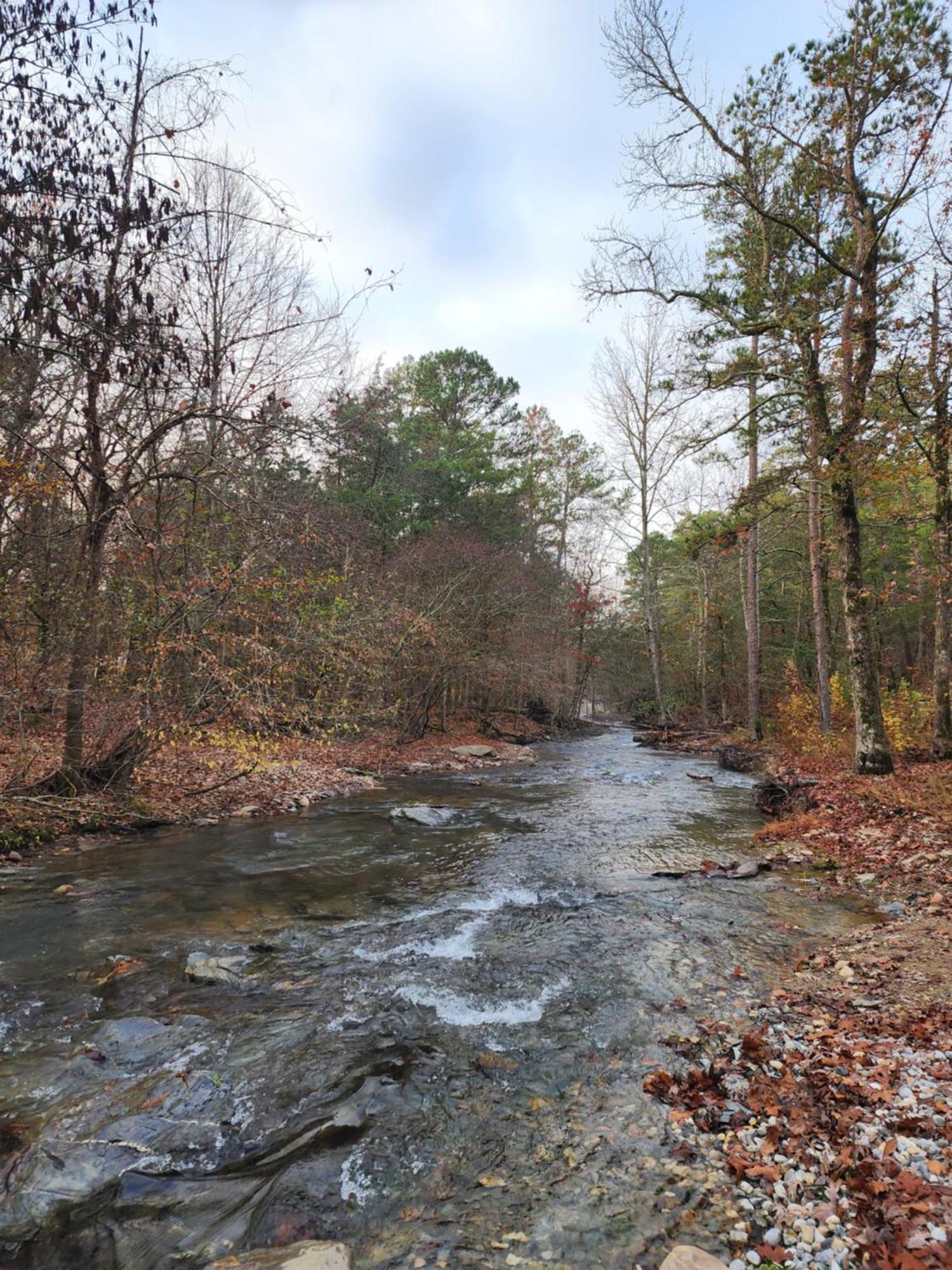Luxurious Retreat! Private Creek View, Hot-tub, Pool Holiday home