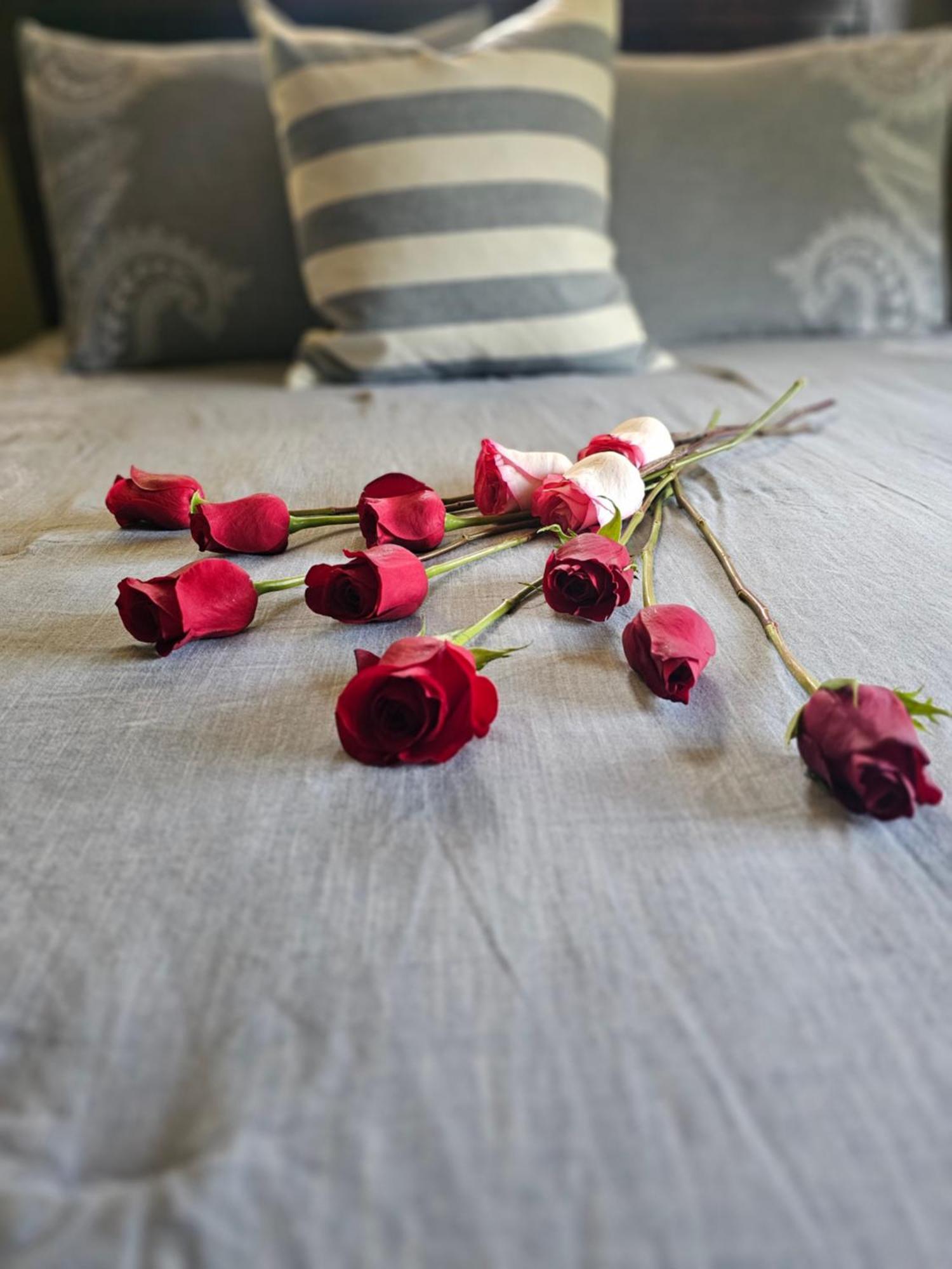 Hilltop Manor Bed & Breakfast