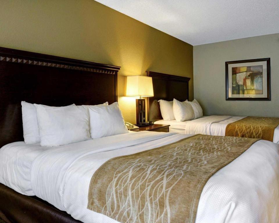 Comfort & Midtown 2*