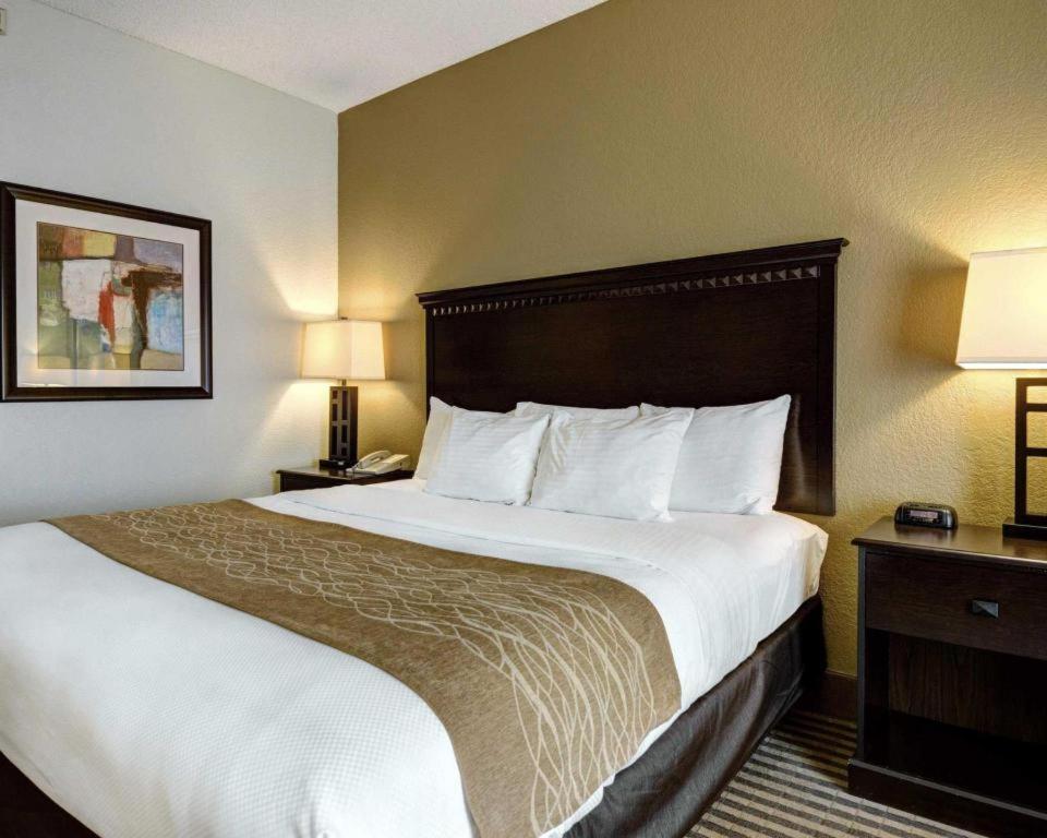 Comfort & Midtown