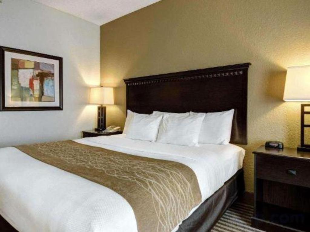 Comfort & Midtown 2*
