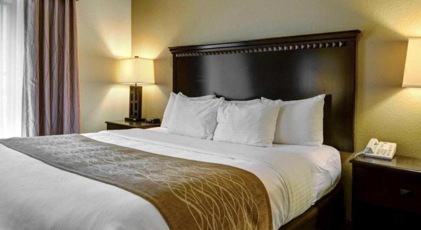 Comfort & Midtown Hotel