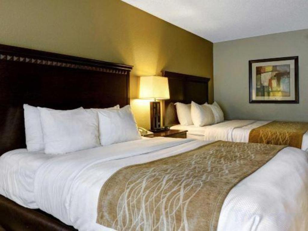 Comfort & Midtown Hotel 2*
