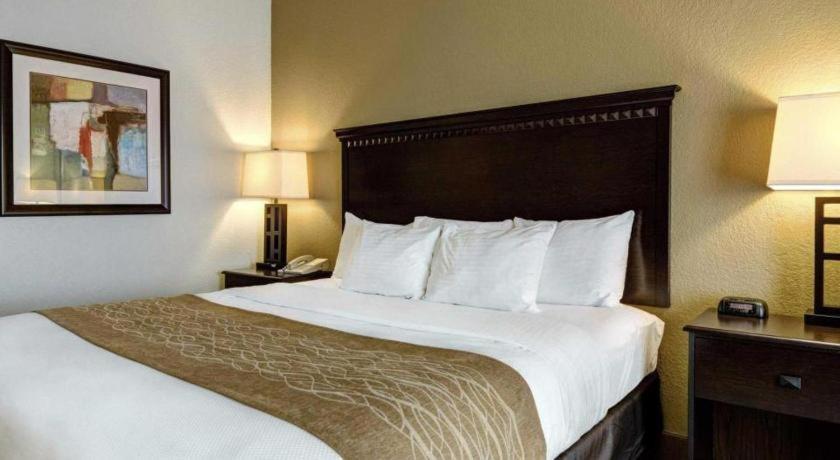 Hotel Comfort & Midtown 2*
