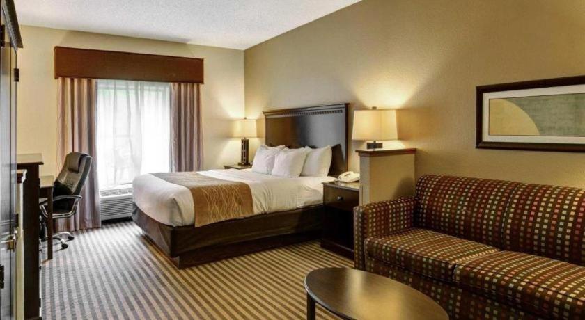 Hotel Comfort & Midtown