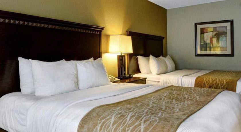 Comfort & Midtown 2*