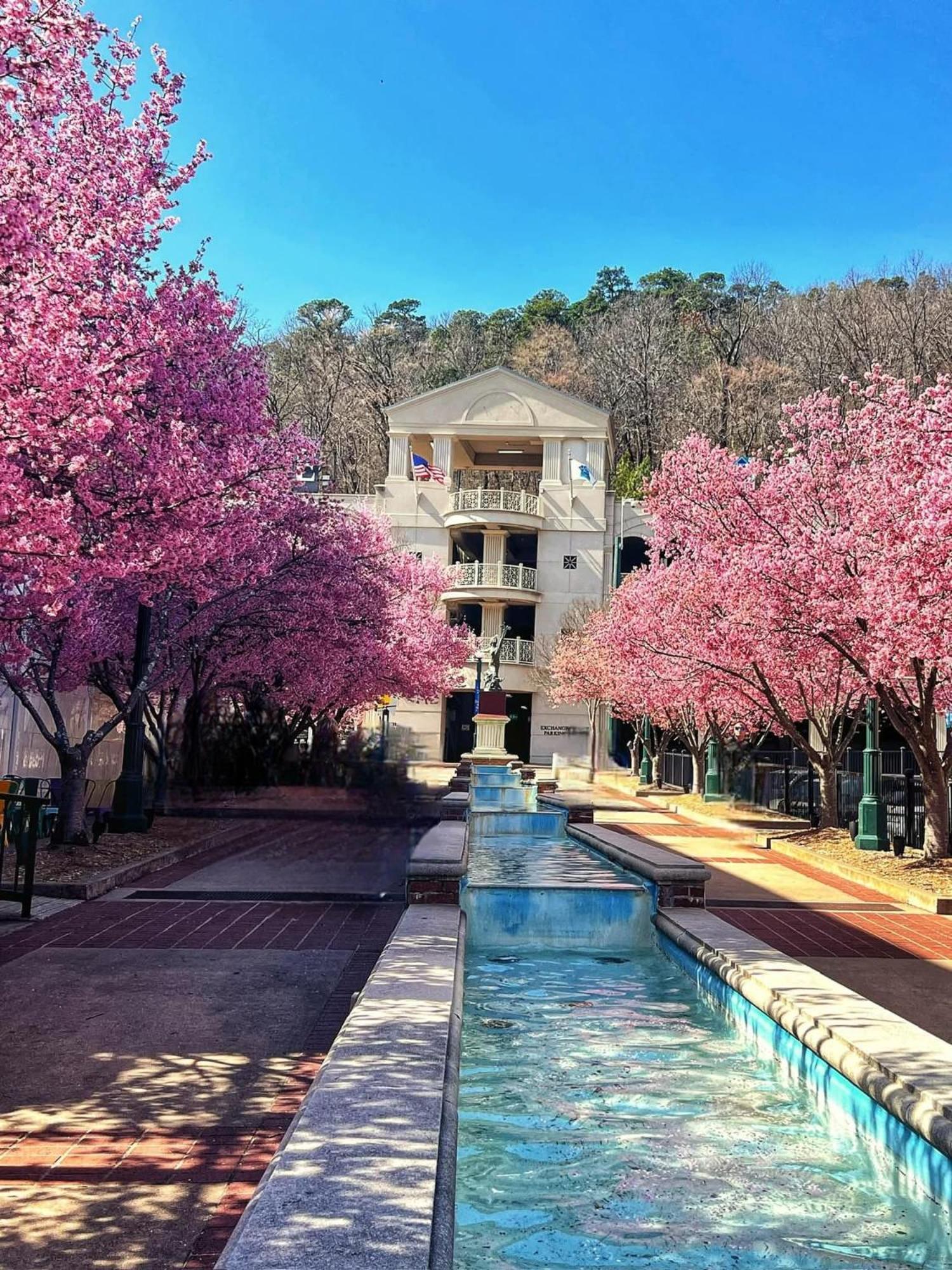 Apartment Escape Hot Springs