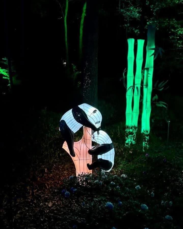 Lakeview Escape At Phadral
