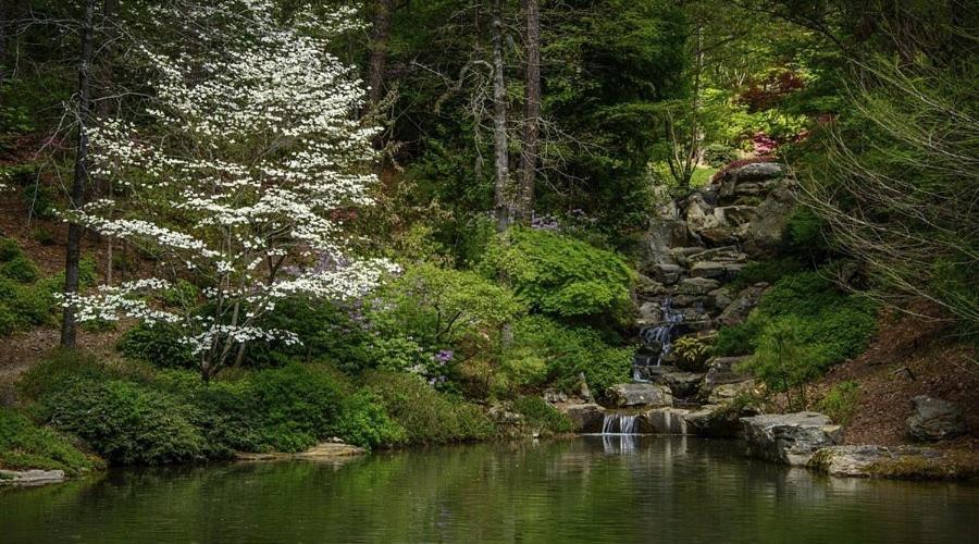 Lakeview Luxury Hot Springs